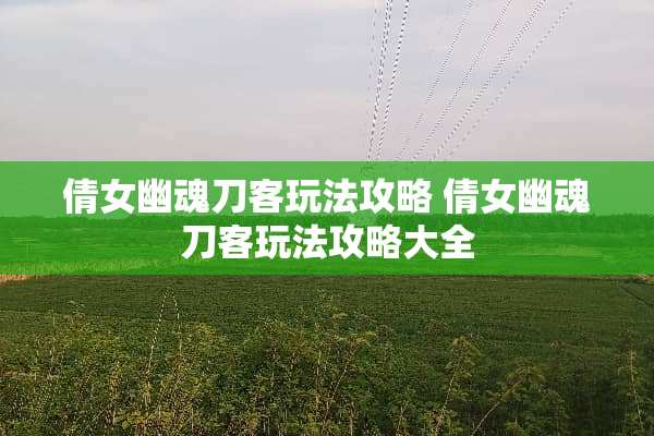 倩女幽魂刀客玩法攻略 倩女幽魂刀客玩法攻略大全