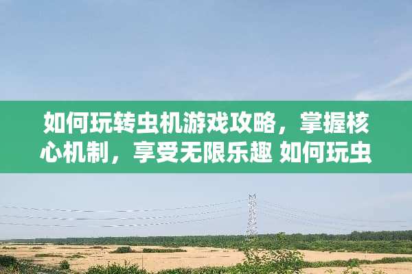 如何玩转虫机游戏攻略，掌握核心机制，享受无限乐趣 如何玩虫机游戏攻略