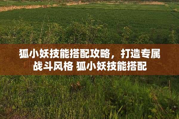 狐小妖技能搭配攻略，打造专属战斗风格 狐小妖技能搭配