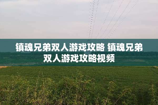 镇魂兄弟双人游戏攻略 镇魂兄弟双人游戏攻略视频