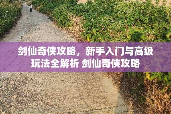 剑仙奇侠攻略，新手入门与高级玩法全解析 剑仙奇侠攻略