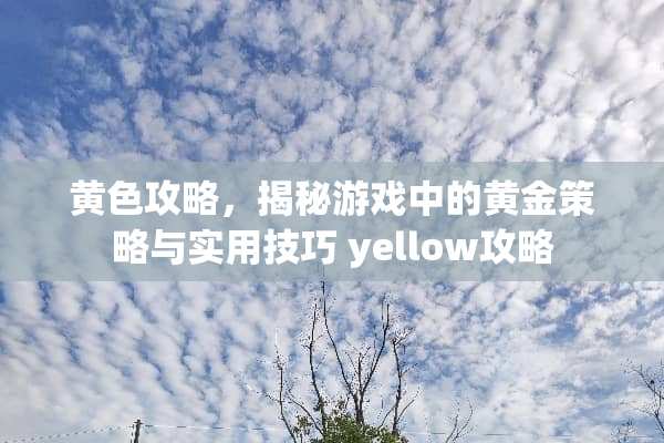 **攻略，揭秘游戏中的黄金策略与实用技巧 yellow攻略