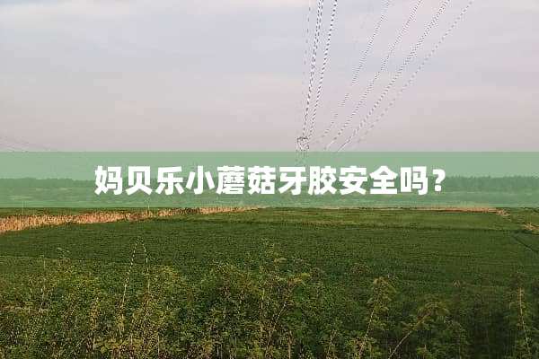 妈贝乐小蘑菇牙胶安全吗？