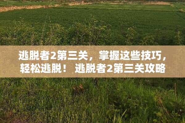 逃脱者2第三关，掌握这些技巧，轻松逃脱！ 逃脱者2第三关攻略