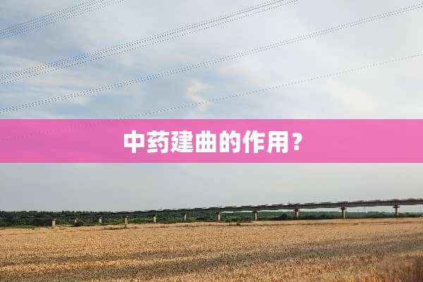中药建曲的作用？