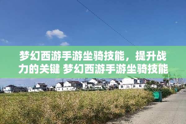 梦幻西游手游坐骑技能，提升战力的关键 梦幻西游手游坐骑技能