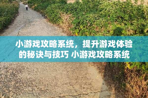 小游戏攻略系统，提升游戏体验的秘诀与技巧 小游戏攻略系统