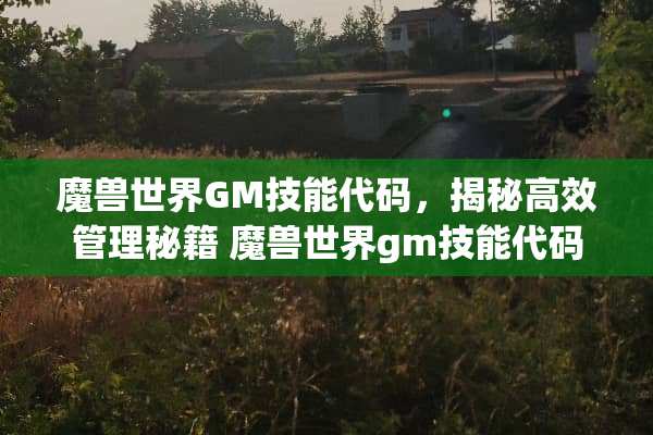 魔兽世界GM技能代码，揭秘高效管理秘籍 魔兽世界gm技能代码