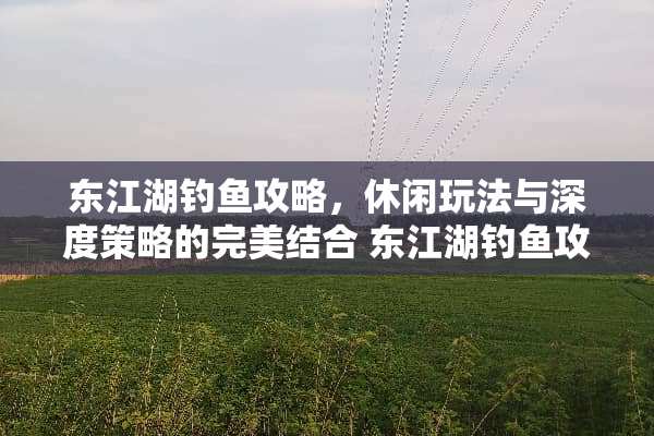 东江湖钓鱼攻略，休闲玩法与深度策略的完美结合 东江湖钓鱼攻略
