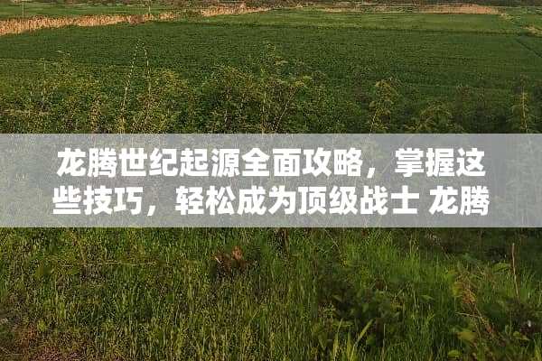 龙腾世纪起源全面攻略，掌握这些技巧，轻松成为**战士 龙腾世纪起源攻略
