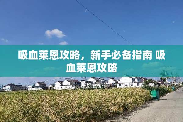 吸血莱恩攻略，新手必备指南 吸血莱恩攻略