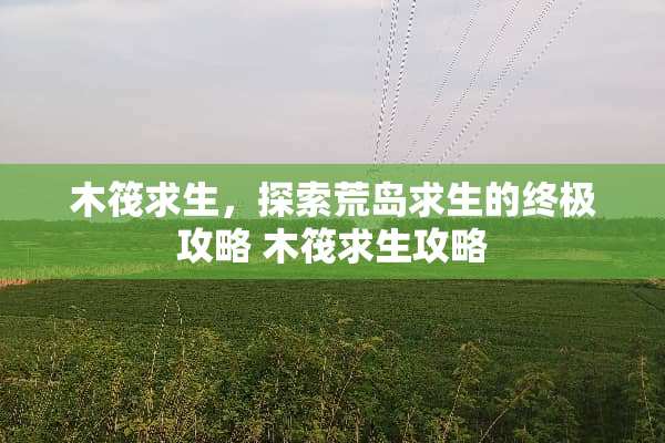 木筏求生，探索荒岛求生的终极攻略 木筏求生攻略