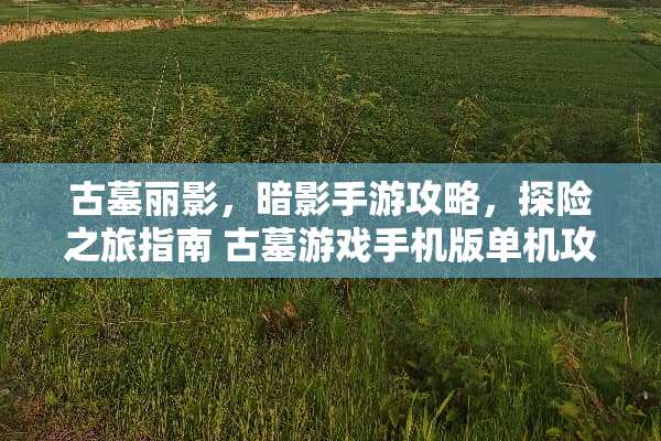 古墓丽影，暗影手游攻略，探险之旅指南 古墓游戏手机版单机攻略