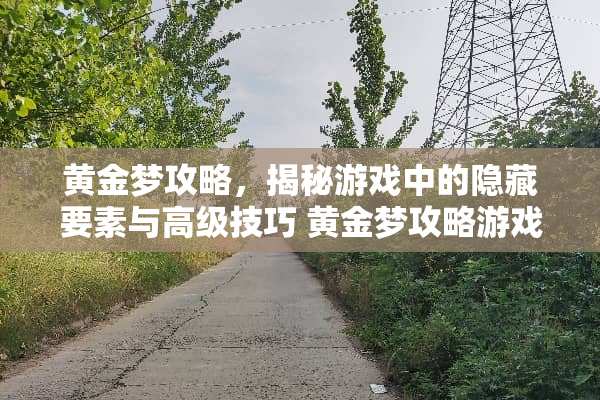 黄金梦攻略，揭秘游戏中的隐藏要素与高级技巧 黄金梦攻略游戏