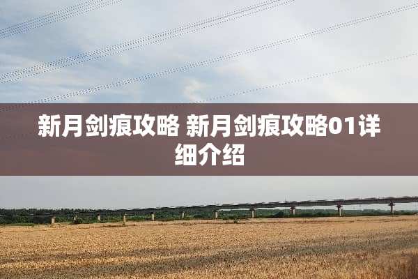 新月剑痕攻略 新月剑痕攻略01详细介绍