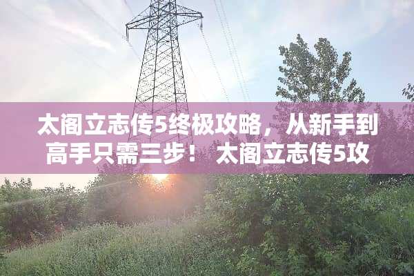 太阁立志传5终极攻略，从新手到高手只需三步！ 太阁立志传5攻略