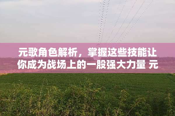 元歌角色解析，掌握这些技能让你成为战场上的一股强大力量 元歌主什么技能