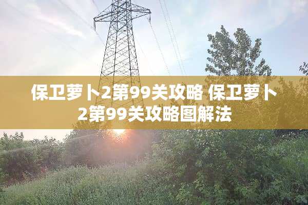 保卫萝卜2第99关攻略 保卫萝卜2第99关攻略图解法