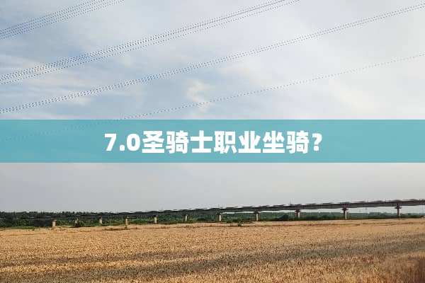 7.0圣骑士职业坐骑？