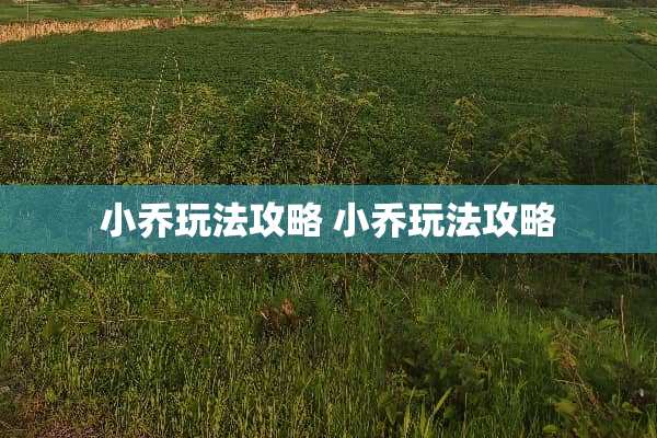 小乔玩法攻略 小乔玩法攻略