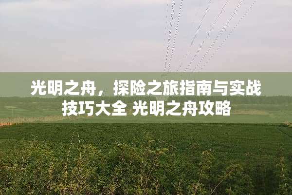 光明之舟，探险之旅指南与实战技巧大全 光明之舟攻略