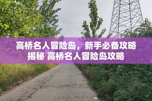 高桥名人冒险岛，新手必备攻略揭秘 高桥名人冒险岛攻略