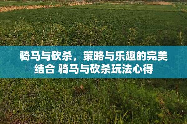 骑马与砍杀，策略与乐趣的完美结合 骑马与砍杀玩法心得