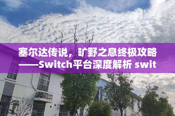 塞尔达传说，旷野之息终极攻略——Switch平台深度解析 switch塞尔达攻略