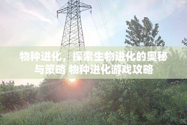 物种进化，探索生物进化的奥秘与策略 物种进化游戏攻略