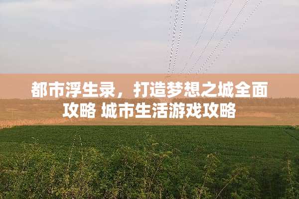 都市浮生录，打造梦想之城全面攻略 城市生活游戏攻略