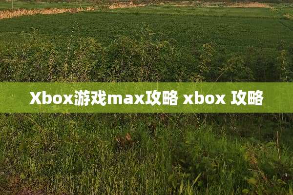 Xbox游戏max攻略 xbox 攻略