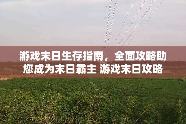 游戏末日生存指南，全面攻略助您成为末日霸主 游戏末日攻略