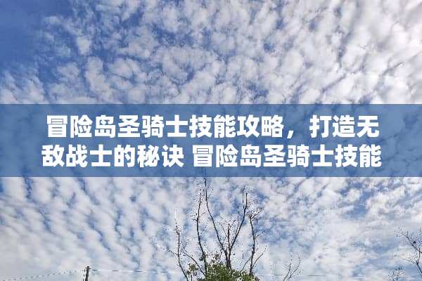 冒险岛圣骑士技能攻略，打造无敌战士的秘诀 冒险岛圣骑士技能