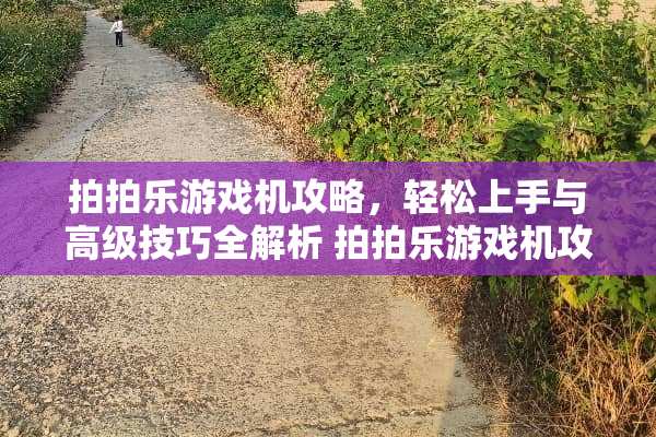拍拍乐游戏机攻略，轻松上手与高级技巧全解析 拍拍乐游戏机攻略