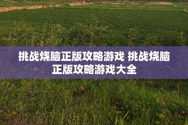 挑战烧脑正版攻略游戏 挑战烧脑正版攻略游戏大全