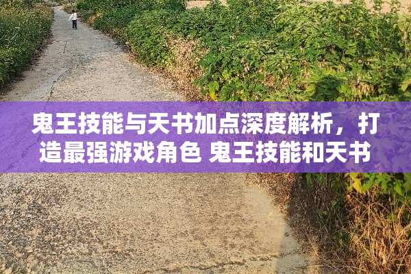 鬼王技能与天书加点深度解析，打造最强游戏角色 鬼王技能和天书加点