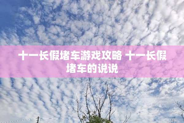 十一长假堵车游戏攻略 十一长假堵车的说说