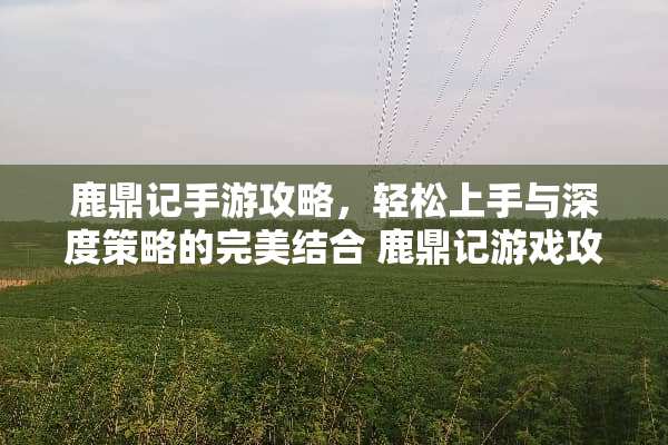 鹿鼎记手游攻略，轻松上手与深度策略的完美结合 鹿鼎记游戏攻略
