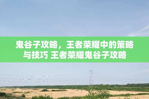 鬼谷子攻略，王者荣耀中的策略与技巧 王者荣耀鬼谷子攻略