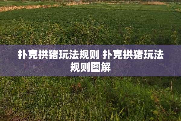 **拱猪玩法规则 **拱猪玩法规则图解