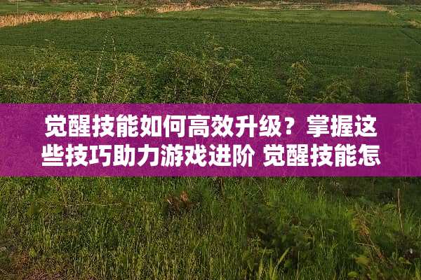 觉醒技能如何高效升级？掌握这些技巧助力游戏进阶 觉醒技能怎么升级