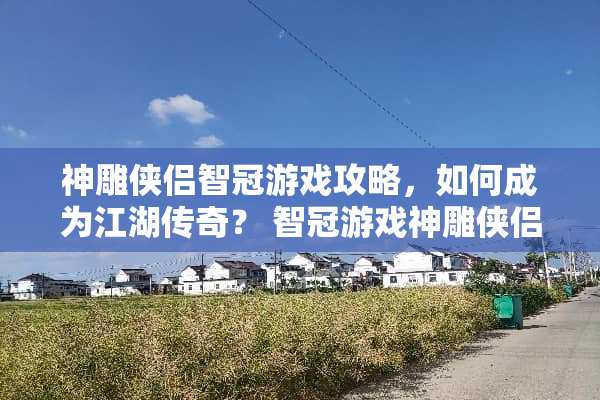 神雕侠侣智冠游戏攻略，如何成为江湖传奇？ 智冠游戏神雕侠侣攻略