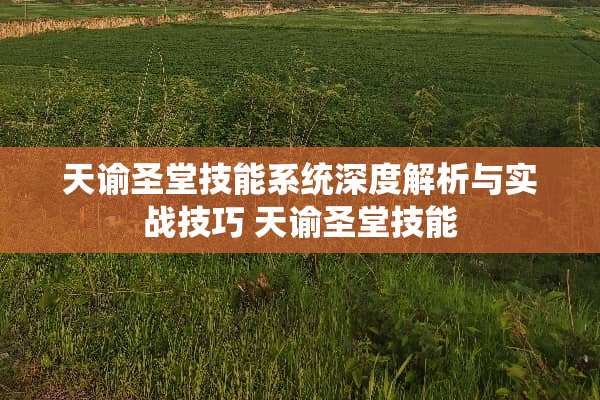 天谕圣堂技能系统深度解析与实战技巧 天谕圣堂技能