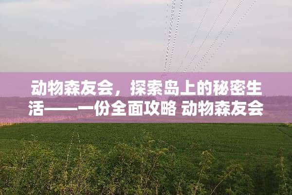 动物森友会，探索岛上的秘密生活——一份全面攻略 动物森友会攻略