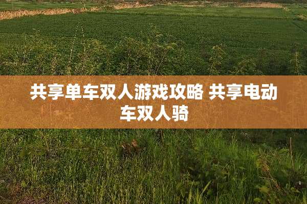 共享单车双人游戏攻略 共享电动车双人骑