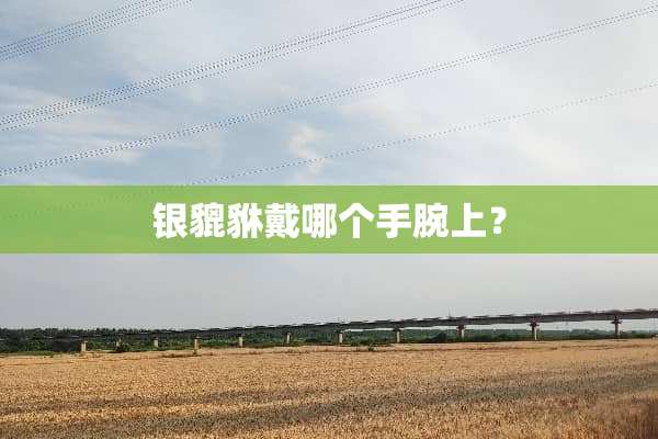 银貔貅戴哪个手腕上？