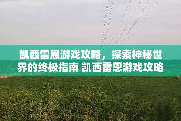 凯西雷恩游戏攻略，探索神秘世界的终极指南 凯西雷恩游戏攻略文章