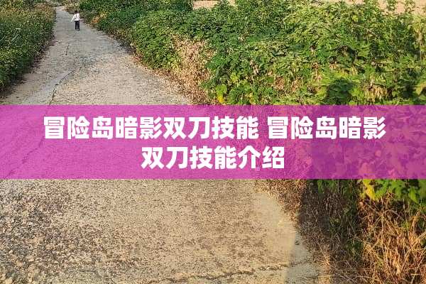 冒险岛暗影双刀技能 冒险岛暗影双刀技能介绍