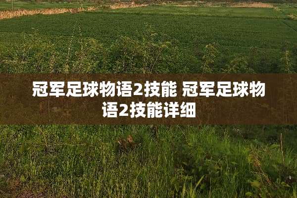 冠军**物语2技能 冠军**物语2技能详细