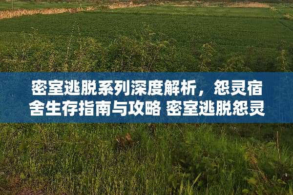 密室逃脱系列深度解析，怨灵宿舍生存指南与攻略 密室逃脱怨灵攻略